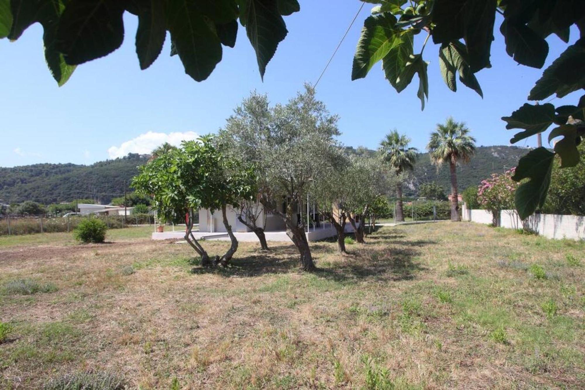 Olga Home Agios Ioannis Lefkada - Lefkada Bnb Dış mekan fotoğraf